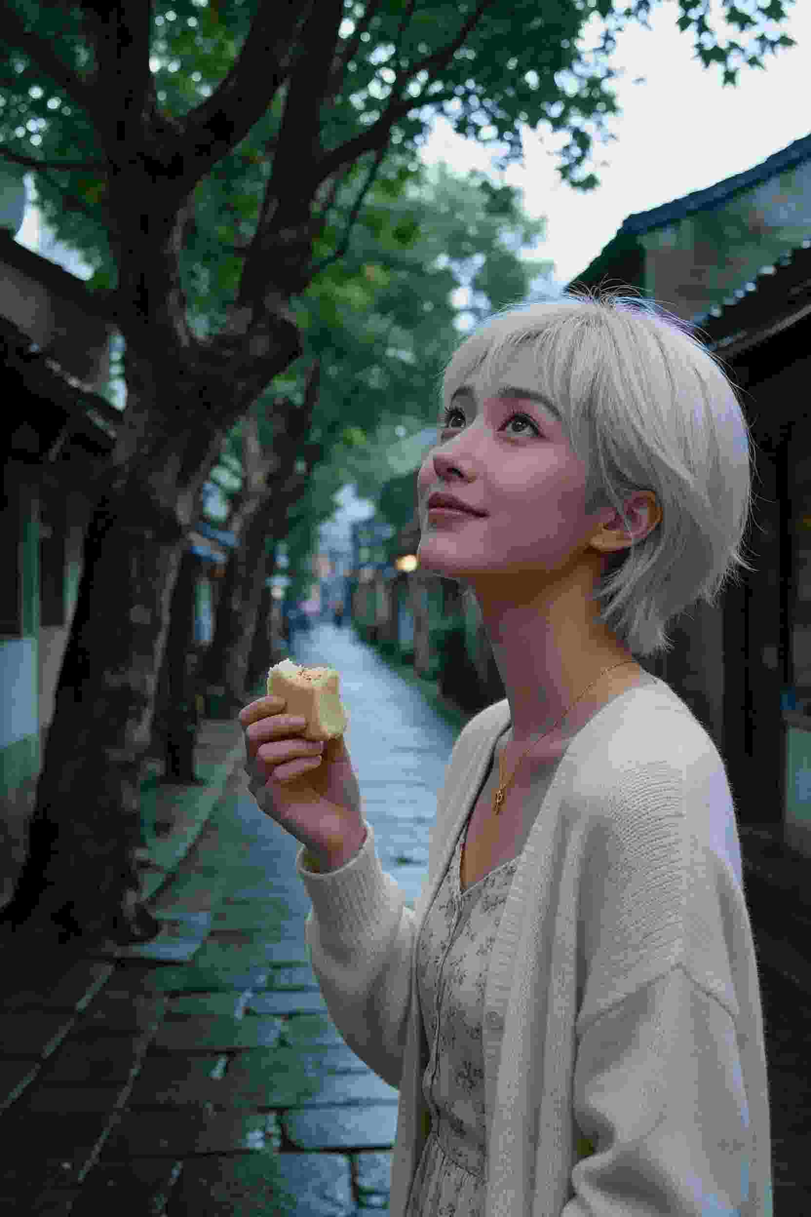 剧集