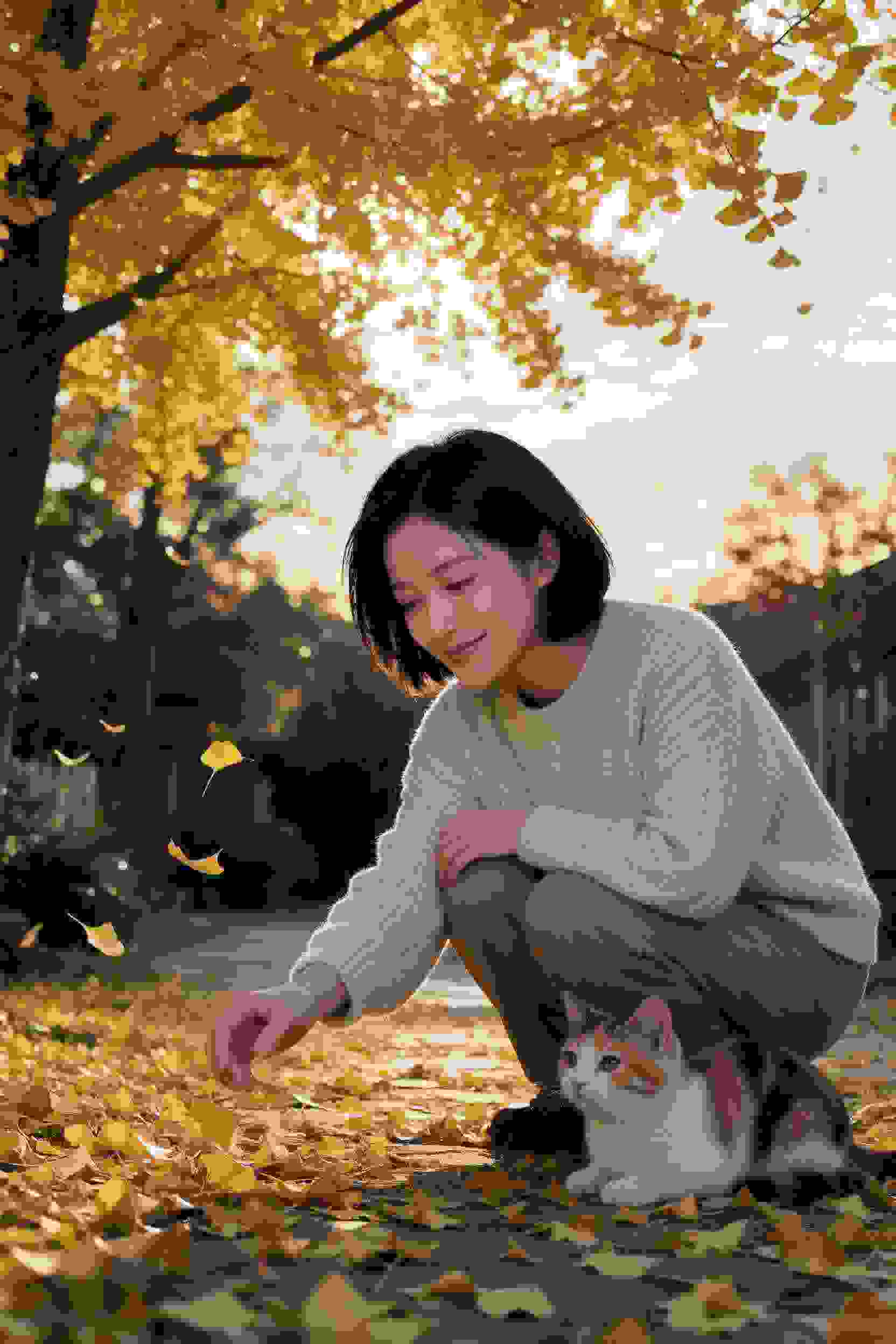 剧集